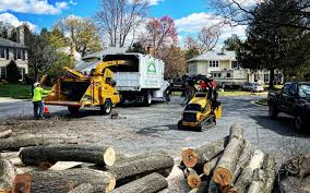 Reliable Lake Of The Woods, IL Tree Removal and Landscaping Services Solutions